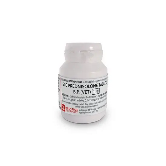 Prednisolone Tablets for Dogs and Cats