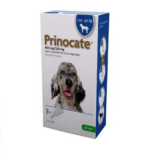 Prinocate packaging for extra-large 25-40kg dogs on a white background