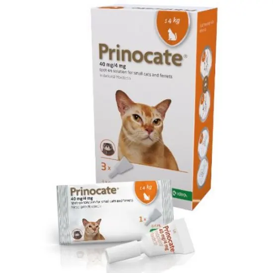 Prinocate cat <4kg medication packaging with a cat on the box