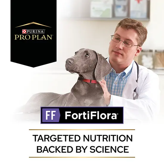 Vet with a dog, Purina Pro Plan and FortiFlora branding visible