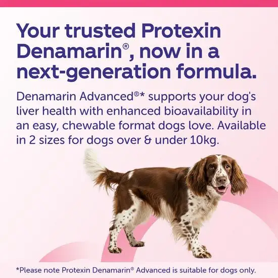 Dog with text about Protexin Denamarin Advanced for liver health support.