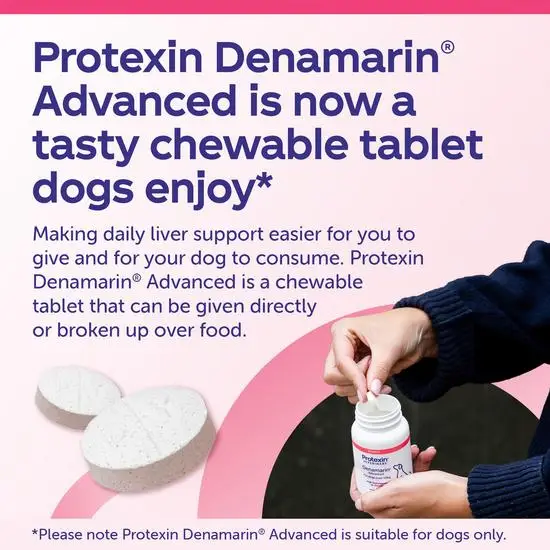 protexin denamarin advanced supplement for dogs with text and a person holding a bottle.