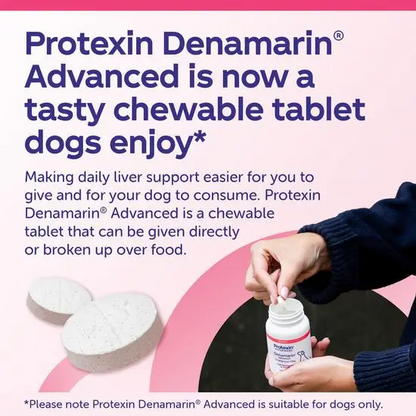 protexin denamarin advanced supplement for dogs with text and a person holding a bottle.