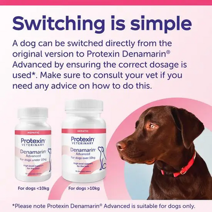 Advertisement for Protexin Denamarin Advanced with two bottles and a dog on a pink and blue background.