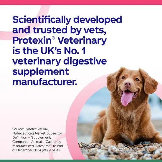 Dog sitting on a beach with text about Protexin Veterinary supplement