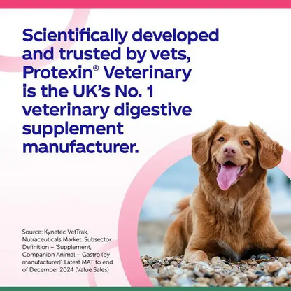Dog sitting on a beach with text about Protexin Veterinary supplement