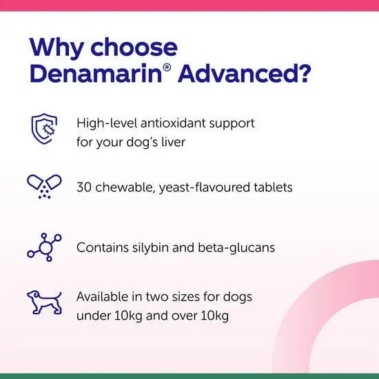 Promotional text highlighting features of Denamarin Advanced for dogs on a white background.