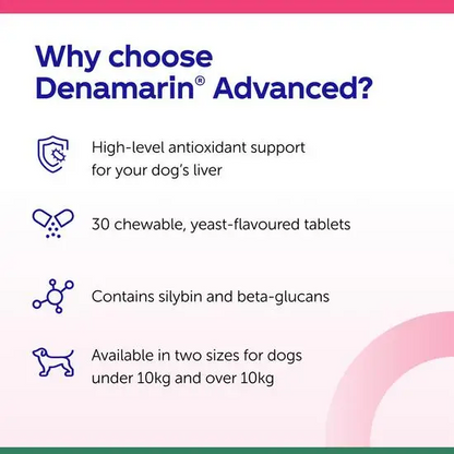 Promotional text highlighting features of Denamarin Advanced for dogs on a white background.