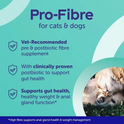 Advertisement for Pro-Fibre supplement for cats and dogs with text and a dog image on a teal background.