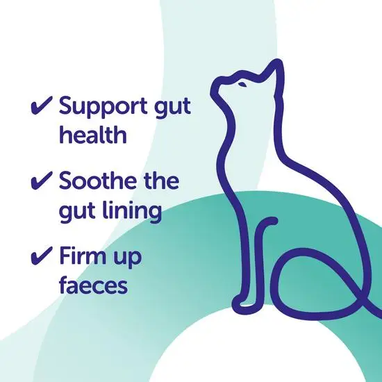 Cat illustration with text on a blue and green gradient background