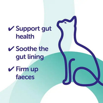 Cat illustration with text on a blue and green gradient background