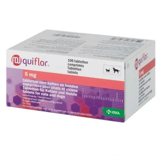 Box of 5mg quiflor tablets for cats and dogs with purple and white design