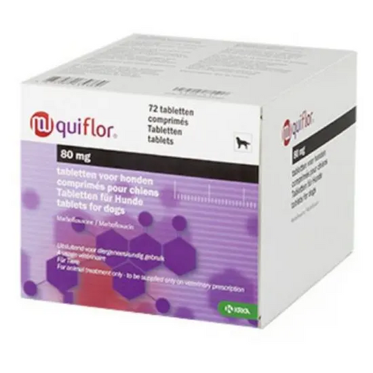 Box of Quiflor 80 mg tablets for dogs on a white background