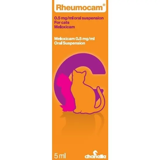 Rheumocam packaging for cats 0.5mg/ml 5ml bottle with an orange background and cat illustration.