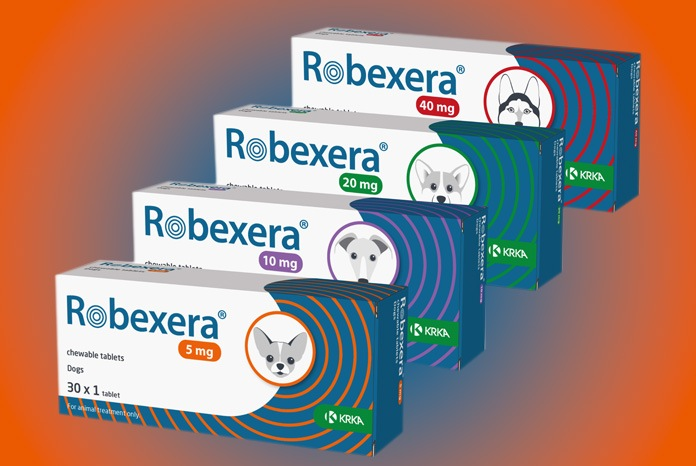 Multiple boxes of Robexera medication for dogs on a gradient background