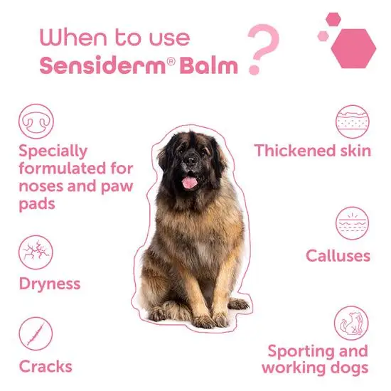 Dog with text explaining when to use Sensiderm Balm for thickened skin, calluses, dryness, cracks, and suitability for sporting and working dogs.