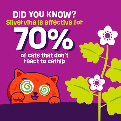 Cartoon cat with green eyes and flowers on a purple background with text about silvervine and cats.