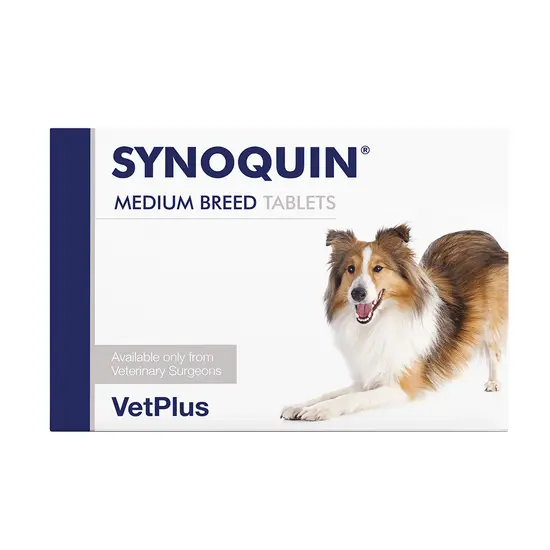SYNOQUIN medium breed tablets packaging with a dog on a white background