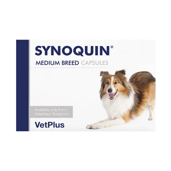 SYNOQUIN medium breed capsules packaging with a dog on a white background