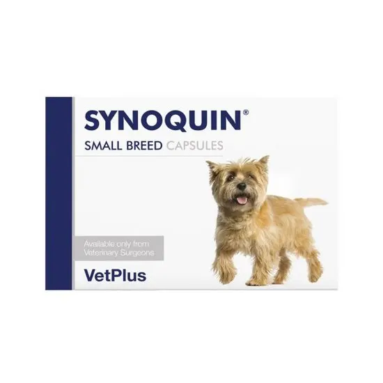 SYNOQUIN Small Breed Capsules packaging with a dog illustration on a white background