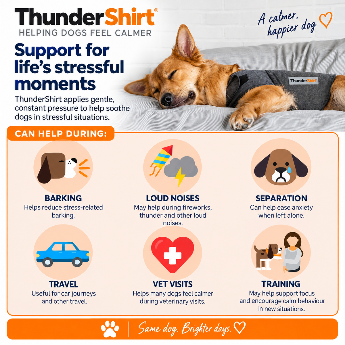 ThunderShirt for Dogs - Grey