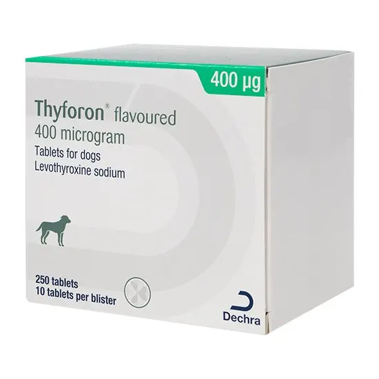 Box of Thyforon 400mcg flavored tablets for dogs with Dechra logo