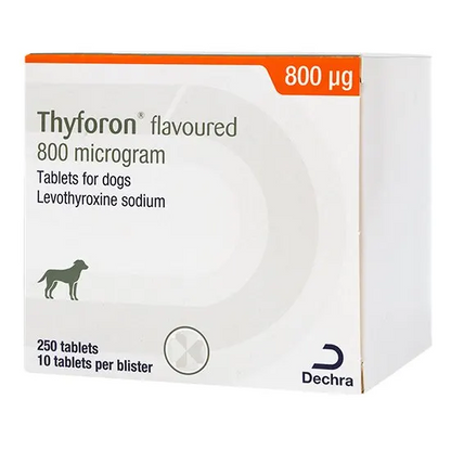Box of Thyforon 800mcg flavored tablets for dogs with Dechra logo