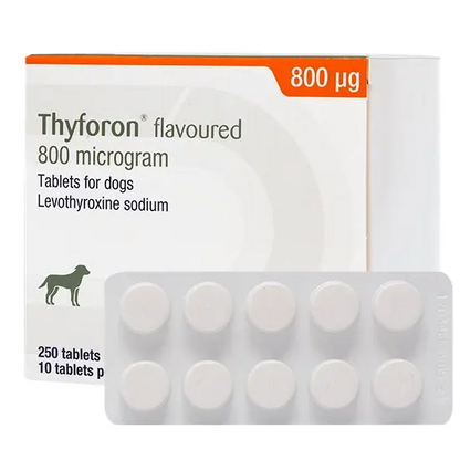 Thyforon flavoured 800mcg tablets for dogs packaging