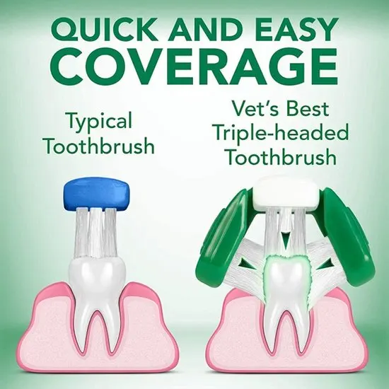 Comparison of a typical toothbrush and a vet's best triple-headed toothbrush on a green background.