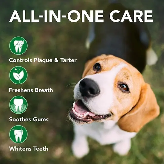 Dog with dental care benefits text overlay