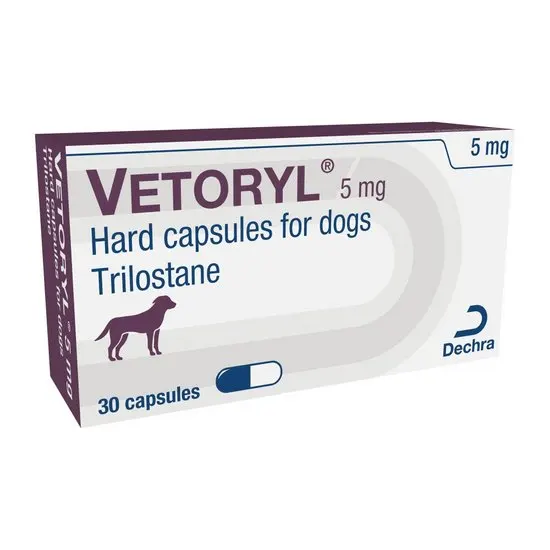 Box of Vetoryl 5mg hard capsules for dogs with Dechra logo on a white background