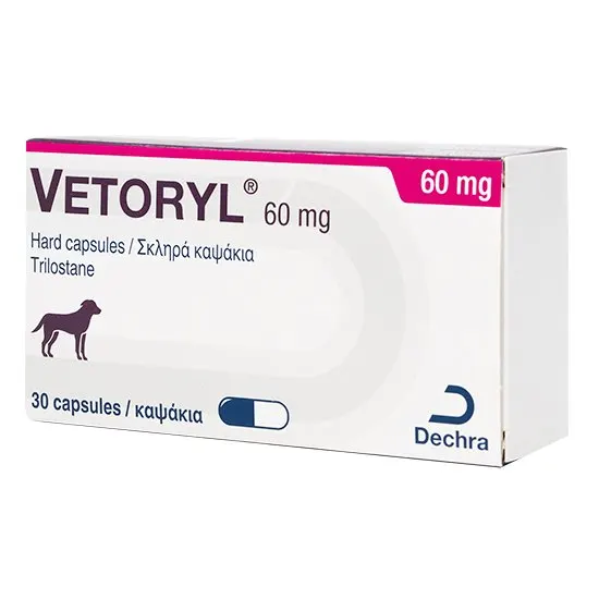 Vetoryl 60 mg packaging for dogs with Dechra logo on a white background