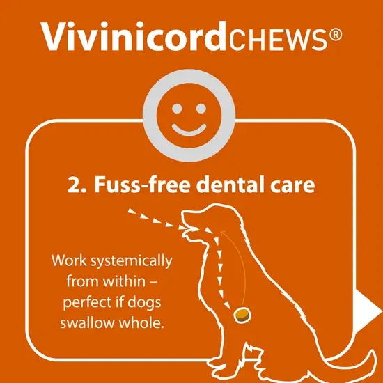 Vivinicord CHEWS advertisement with a dog illustration and text on an orange background