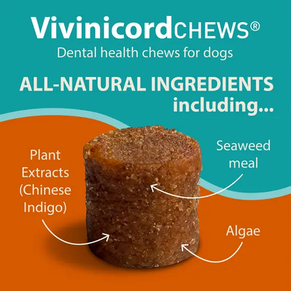 Vivinicord CHEWS dental health chews for dogs with natural ingredients on a blue and orange background