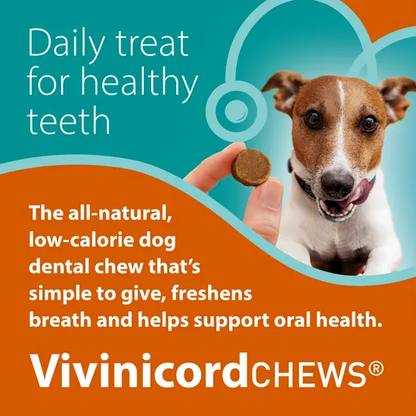 Advertisement for Vivinicord CHEWS dog dental chews with a dog and text about dental health.