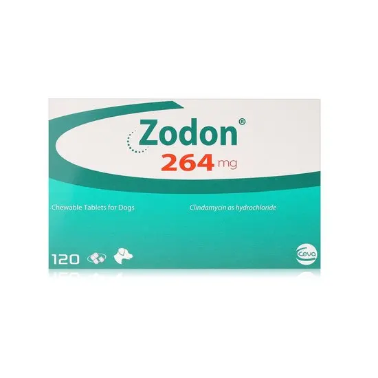 Zodon for Dogs and Cats | Clindamycin
