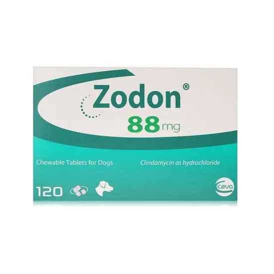 Zodon for Dogs and Cats | Clindamycin
