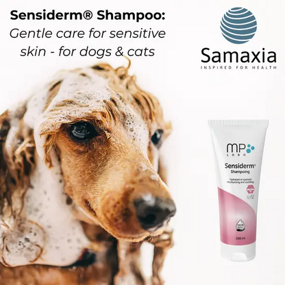 Dog with shampoo on head next to Sensiderm Shampoo tube, featuring Samaxia brand.